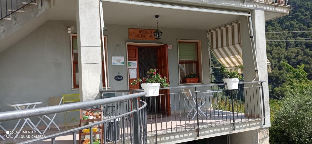 Agriturismo Vecchio Frantoio Villatella Ngoại thất bức ảnh