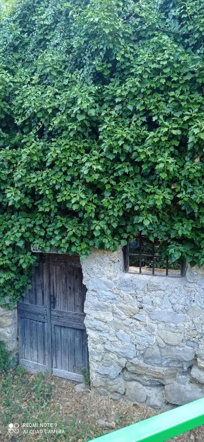 Agriturismo Vecchio Frantoio Villatella Ngoại thất bức ảnh