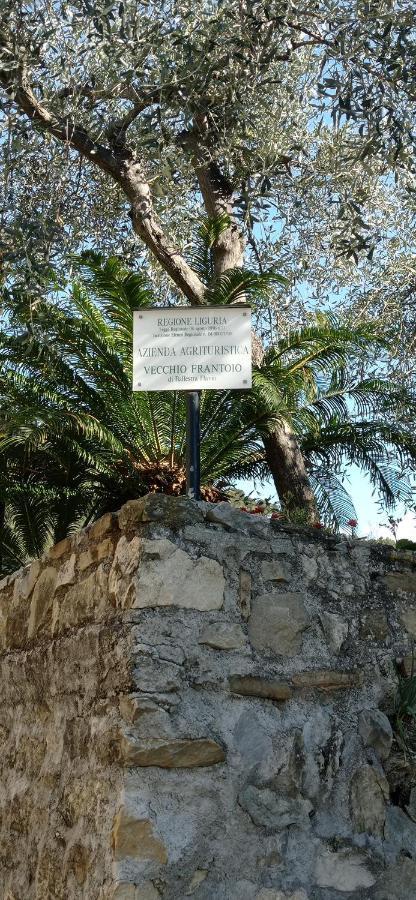 Agriturismo Vecchio Frantoio Villatella Ngoại thất bức ảnh