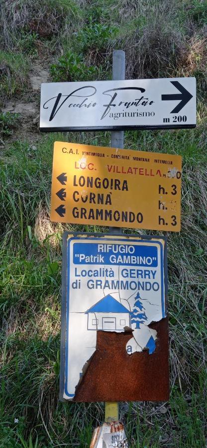 Agriturismo Vecchio Frantoio Villatella Ngoại thất bức ảnh